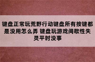 键盘正常玩荒野行动键盘所有按键都是没用怎么弄 键盘玩游戏间歇性失灵平时没事